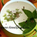 Пряный маринад для грибов