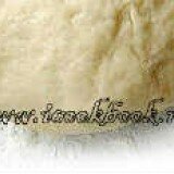 Тесто на оливковом масле